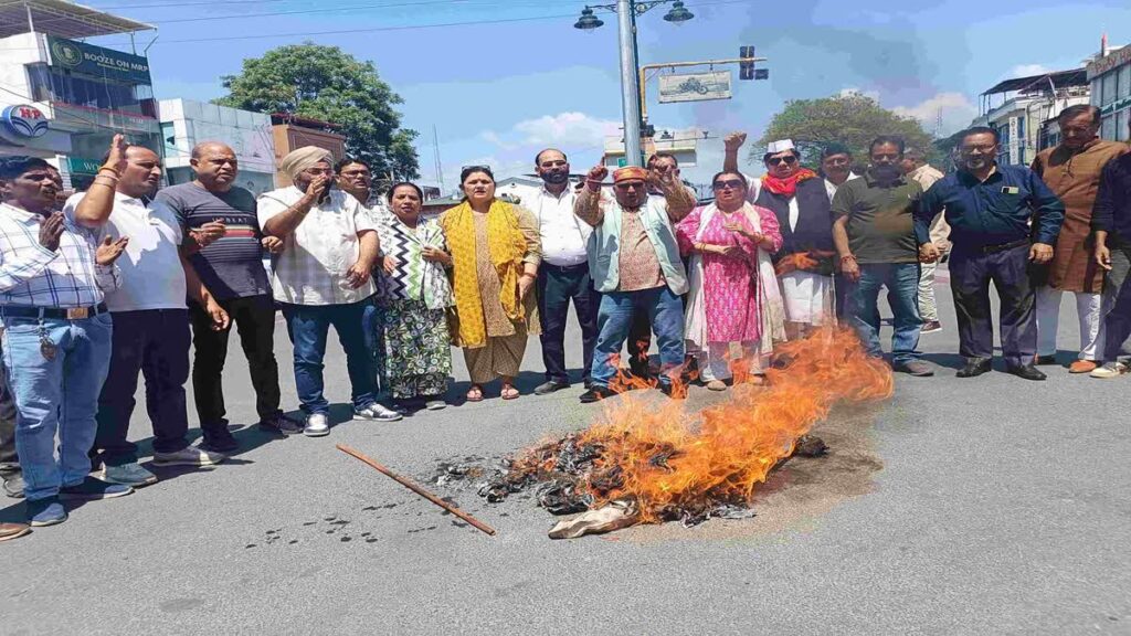 बढ़ती मंहगाई के खिलाफ कांग्रेस ने प्रदर्शन कर भाजपा सरकार का पुतला फंूका 1 d 3 (24)