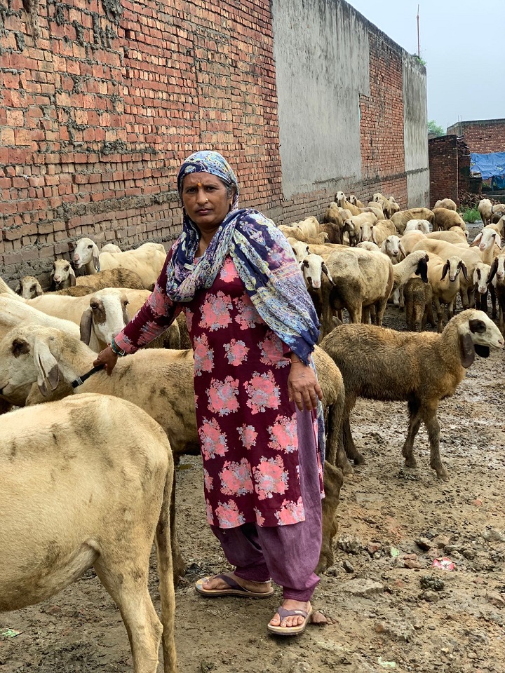 WhatsApp Image 2025-08-12 at 4.01.25 PM (1)