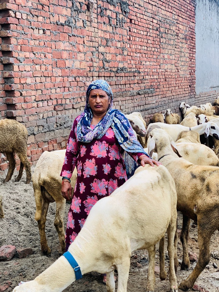 WhatsApp Image 2025 08 12 at 4.01.25 PM