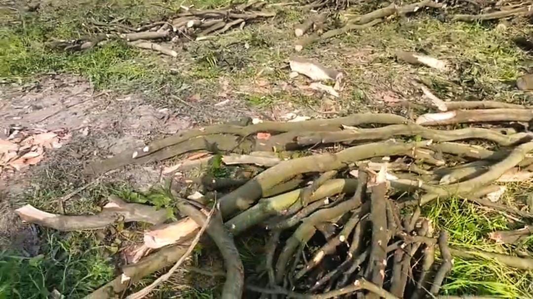 उद्यान अधिकारी बोले ‘पहले ADO से बात कर लूँ