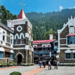 यूज-प्लास्टिक-पर-पर-प्रतिबंध-देहरादून-निगम-में-50.png