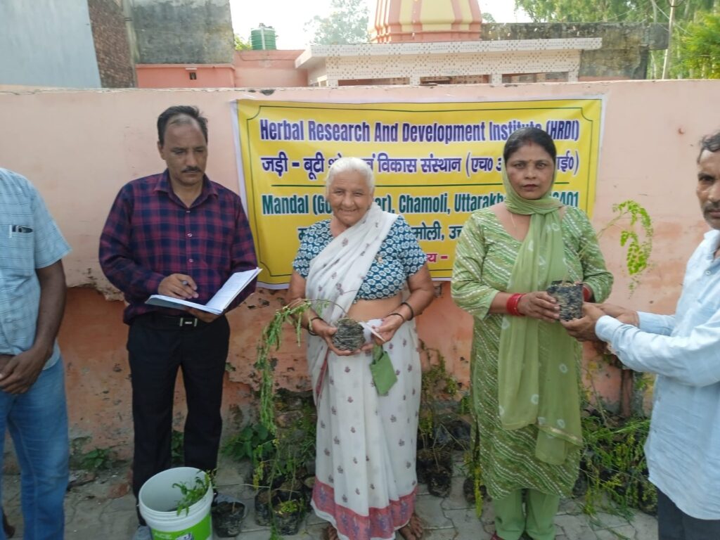 हरिद्वार-में-औषधीय-एवं-सुगंधित-पौधों-की-खेती-को.jpg