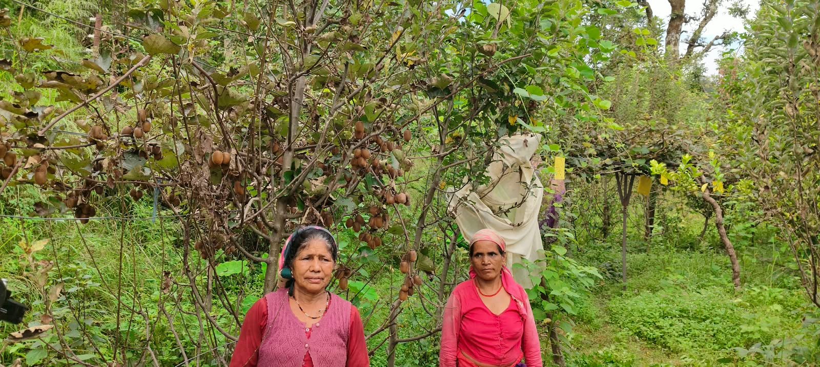 उत्पादन से स्वरोजगार की राह पर बढ़ीं जखोली की