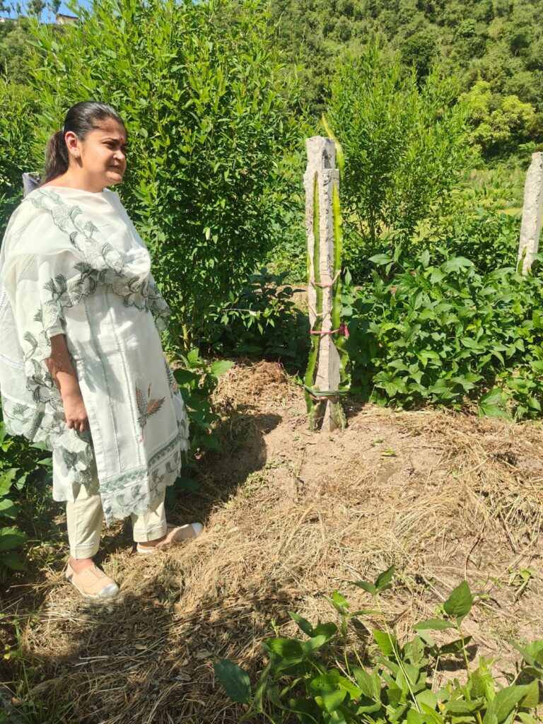 ने-नरेंद्रनगर-में-सामुदायिक-स्तर-के-उद्यमों-का-किया.jpeg