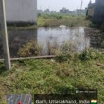 मयूर-दीक्षित-के-निर्देशन-में-सुमन-नगर-में-जलभराव.jpeg
