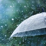 विभाग-द्वारा-भारी-वर्षा-के-चेतावनी-के-दृष्टिगत-जिलाधिकारी.jpg
