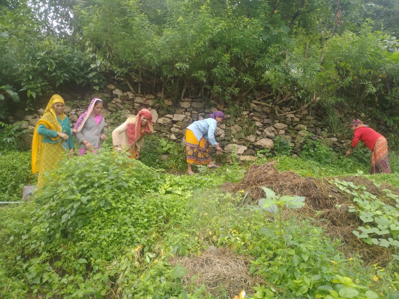 संकल्प अभियान के तहत न्याय पंचायतों में वृहद स्वच्छता