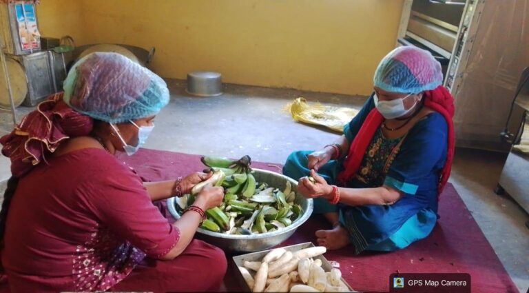 100-रुपये-की-बचत-आज-हजारों-का-कारोबार—केला-चिप्स.jpeg