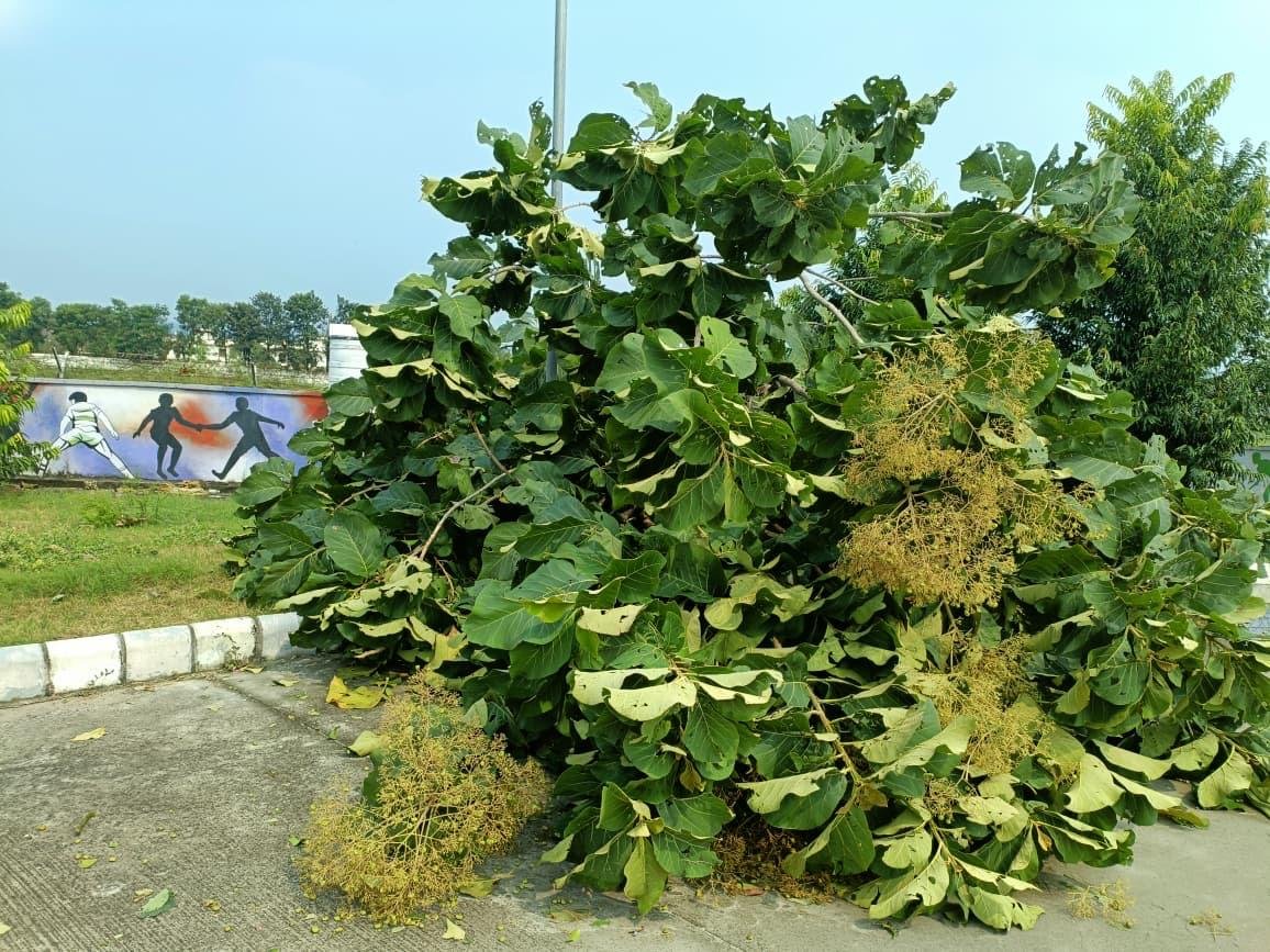 आंधी-तूफान एवं ओलावृष्टि से हुए नुकसान का आकलन कर प्रभावितों को राहत पहुंचाने के लिए जिलाधिकारी मयूर दीक्षित ने अधिकारियों को दिए निर्देश 3 1791558025 929 आंधी तूफान एवं ओलावृष्टि से हुए नुकसान का आकलन कर प्रभावितों