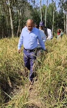 फसल-बीमा-योजना-के-अंतर्गत-खरीफ-2026-27-में-धान.png